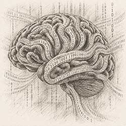 Mind Category